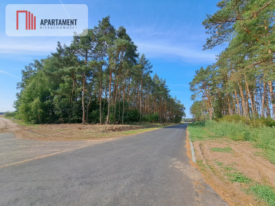 Toporzysko ul Kolejowa pod laskiem - powiat toruński  -
Kujawsko-Pomorskie Zdjęcie nr 2