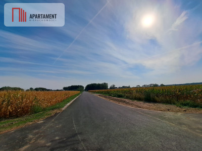 Toporzysko ul Kolejowa pod laskiem - powiat toruński  -
Kujawsko-Pomorskie Zdjęcie nr 4