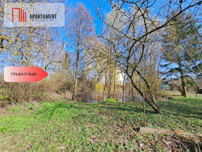 Duża działka ze stawem i drzewami - powiat świecki  -
Kujawsko-Pomorskie Zdjęcie nr 2
