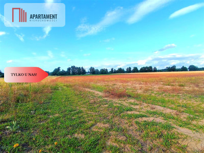 ZŁAWIEŚ MAŁA 1079 m2 IDEALNA LOKALIZACJA - powiat toruński  -
Kujawsko-Pomorskie Zdjęcie nr 10