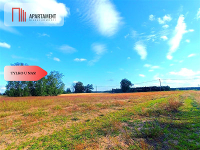 ZŁAWIEŚ MAŁA 1079 m2 IDEALNA LOKALIZACJA - powiat toruński  -
Kujawsko-Pomorskie Zdjęcie nr 11