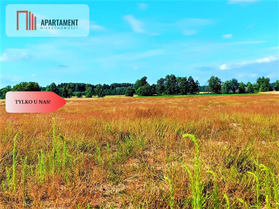 ZŁAWIEŚ MAŁA 1079 m2 IDEALNA LOKALIZACJA - powiat toruński  -
Kujawsko-Pomorskie Zdjęcie nr 7
