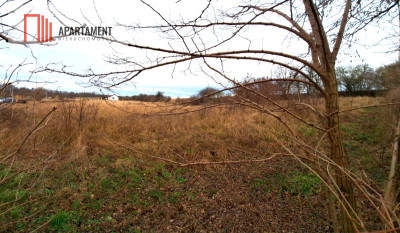 Dobrylewo -Działka 2700m2 budowlana z WZ - powiat żniński  -
Kujawsko-Pomorskie Zdjęcie nr 3