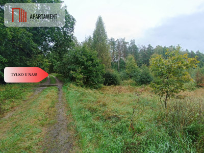 Przepiękna Działka w otulinie lasu Słosinko - powiat bytowski  -
Pomorskie Zdjęcie nr 4