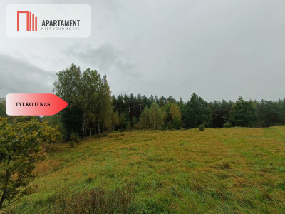 Przepiękna Działka w otulinie lasu Słosinko - powiat bytowski  -
Pomorskie Zdjęcie nr 6