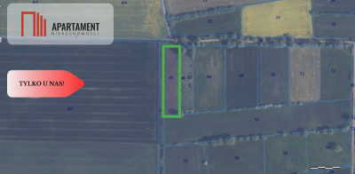 Kolnik działka z wz 4700m2 Inwestycja - powiat gdański  -
Pomorskie Zdjęcie nr 3
