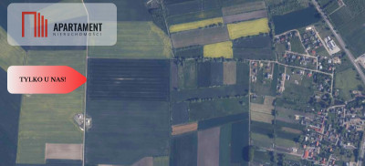 Kolnik działka z wz 4700m2 Inwestycja - powiat gdański  -
Pomorskie Zdjęcie nr 4