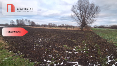 Kolnik działka z wz 4700m2 Inwestycja - powiat gdański  -
Pomorskie Zdjęcie nr 6