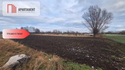 Kolnik działka z wz 4700m2 Inwestycja - powiat gdański  -
Pomorskie Zdjęcie nr 8
