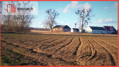 DUŻA działka 5 minut od Świecia kwadrat  - powiat świecki  -
Kujawsko-Pomorskie
