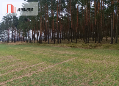 Piękna spokojna okolica ze ścianą lasu - powiat chełmiński  -
Kujawsko-Pomorskie Zdjęcie nr 3