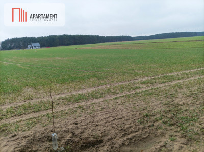 Piękna spokojna okolica ze ścianą lasu - powiat chełmiński  -
Kujawsko-Pomorskie Zdjęcie nr 4