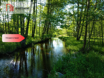 TYLKO U NAS KLIMATYCZNE MIEJSCE  - powiat świecki  -
Kujawsko-Pomorskie