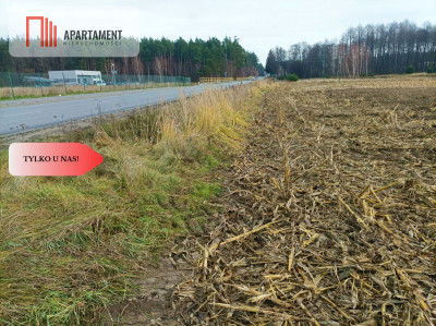 TYLKO U NAS ATRAKCYJNA DZIAŁKA INWESTYCYJNA - powiat świecki  -
Kujawsko-Pomorskie Zdjęcie nr 9
