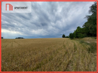 Działki pod lasem w Łabiszynie - powiat żniński  -
Kujawsko-Pomorskie