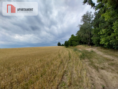 Działki pod lasem w Łabiszynie - powiat żniński  -
Kujawsko-Pomorskie Zdjęcie nr 2