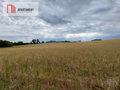 Działki pod lasem w Łabiszynie - powiat żniński  -
Kujawsko-Pomorskie Zdjęcie nr 3