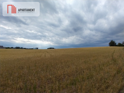 Działki pod lasem w Łabiszynie - powiat żniński  -
Kujawsko-Pomorskie Zdjęcie nr 4