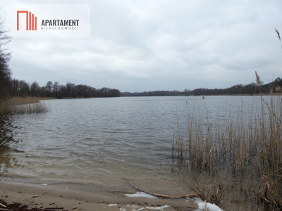 Działka blisko jeziora cicha i spokojna okolica - powiat mogileński  -
Kujawsko-Pomorskie Zdjęcie nr 3