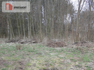 Działka blisko jeziora cicha i spokojna okolica - powiat mogileński  -
Kujawsko-Pomorskie Zdjęcie nr 4