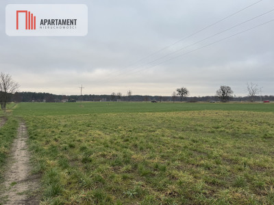 Działka o dużym potencjale inwestycyjnym - powiat nakielski  -
Kujawsko-Pomorskie