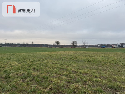 Działka o dużym potencjale inwestycyjnym - powiat nakielski  -
Kujawsko-Pomorskie Zdjęcie nr 2