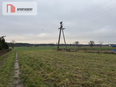 Działka o dużym potencjale inwestycyjnym - powiat nakielski  -
Kujawsko-Pomorskie Zdjęcie nr 3