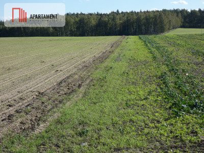 Działki z warunkami zabudowy blisko jezior i lasów - powiat żniński  -
Kujawsko-Pomorskie Zdjęcie nr 3