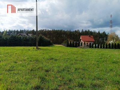 DUŻA DZIAŁKA W DĄBROWIE CHEŁMIŃSKIEJ - powiat bydgoski  -
Kujawsko-Pomorskie Zdjęcie nr 2