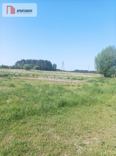 DUŻA DZIAŁKA W DĄBROWIE CHEŁMIŃSKIEJ - powiat bydgoski  -
Kujawsko-Pomorskie Zdjęcie nr 5