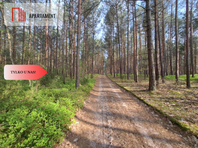 W pobliżu jeziora wśród drzew TYLKO U NAS - powiat starogardzki  -
Pomorskie Zdjęcie nr 4