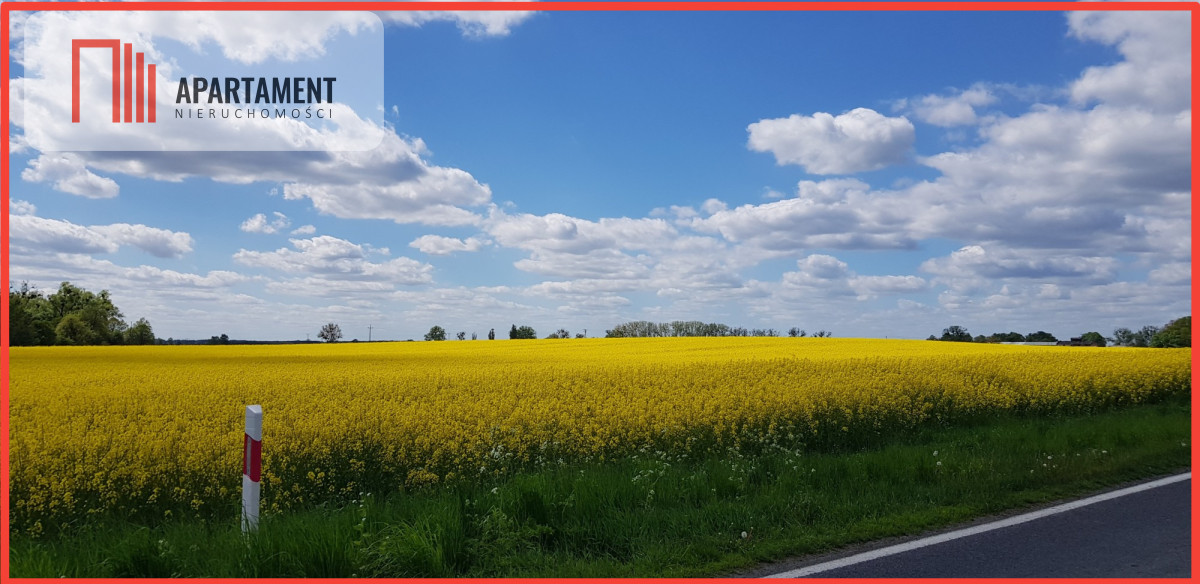 Działka - możliwość podziału Bory Tucholskie - powiat tucholski  -
Kujawsko-Pomorskie Zdjęcie nr 1