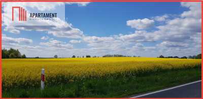 Działka - możliwość podziału Bory Tucholskie - powiat tucholski  -
Kujawsko-Pomorskie