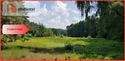 Tylko u nas Działka przy ścianie lasu - powiat tucholski  -
Kujawsko-Pomorskie