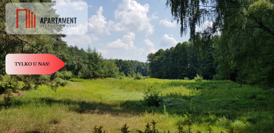 Tylko u nas Działka przy ścianie lasu - powiat tucholski  -
Kujawsko-Pomorskie Zdjęcie nr 2