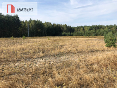 Tylko u nas  Duża działka ze ściana lasu  - powiat bydgoski  -
Kujawsko-Pomorskie