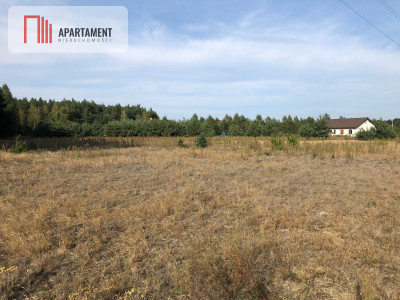 Tylko u nas  Duża działka ze ściana lasu  - powiat bydgoski  -
Kujawsko-Pomorskie Zdjęcie nr 2