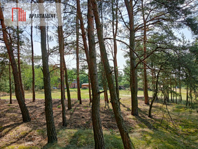 Działka wśród drzew - powiat bydgoski  -
Kujawsko-Pomorskie Zdjęcie nr 10