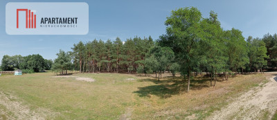 Działka wśród drzew - powiat bydgoski  -
Kujawsko-Pomorskie Zdjęcie nr 3