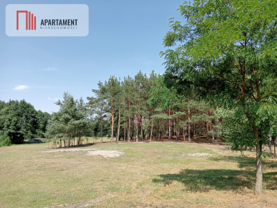 Działka wśród drzew - powiat bydgoski  -
Kujawsko-Pomorskie Zdjęcie nr 4