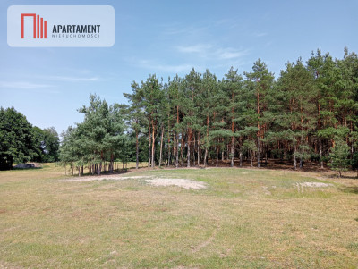 Działka wśród drzew - powiat bydgoski  -
Kujawsko-Pomorskie Zdjęcie nr 5