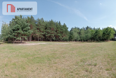 Działka wśród drzew - powiat bydgoski  -
Kujawsko-Pomorskie Zdjęcie nr 6