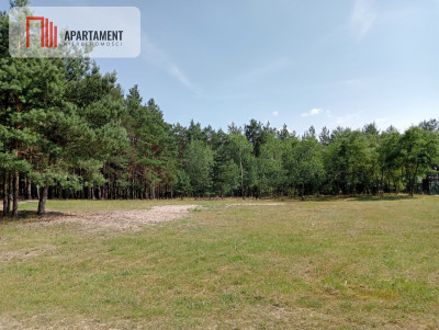 Działka wśród drzew - powiat bydgoski  -
Kujawsko-Pomorskie Zdjęcie nr 7