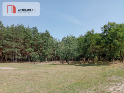 Działka wśród drzew - powiat bydgoski  -
Kujawsko-Pomorskie Zdjęcie nr 8