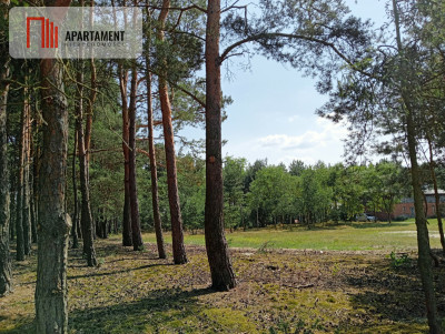 Działka wśród drzew - powiat bydgoski  -
Kujawsko-Pomorskie Zdjęcie nr 9
