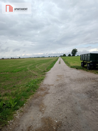 Działka w Parlinie gm Dąbrowa pow Mogilno - powiat mogileński  -
Kujawsko-Pomorskie Zdjęcie nr 3