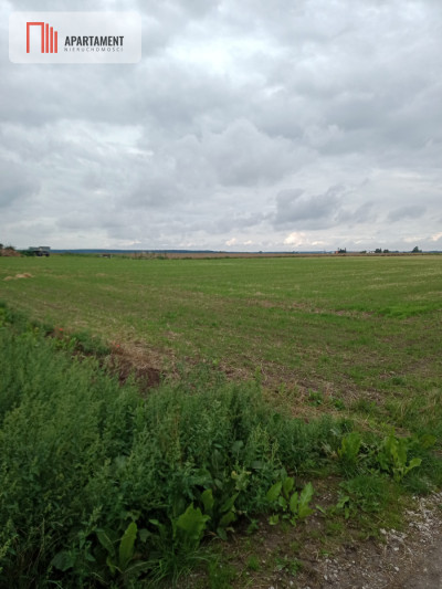 Działka w Parlinie gm Dąbrowa pow Mogilno - powiat mogileński  -
Kujawsko-Pomorskie Zdjęcie nr 4