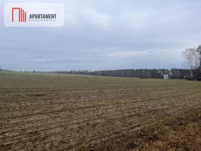 Działki z WZ - Dom jednorodzinny - powiat żniński  -
Kujawsko-Pomorskie Zdjęcie nr 5