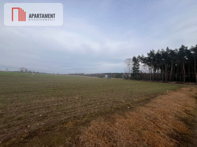 Działki z WZ - Dom jednorodzinny - powiat żniński  -
Kujawsko-Pomorskie Zdjęcie nr 6
