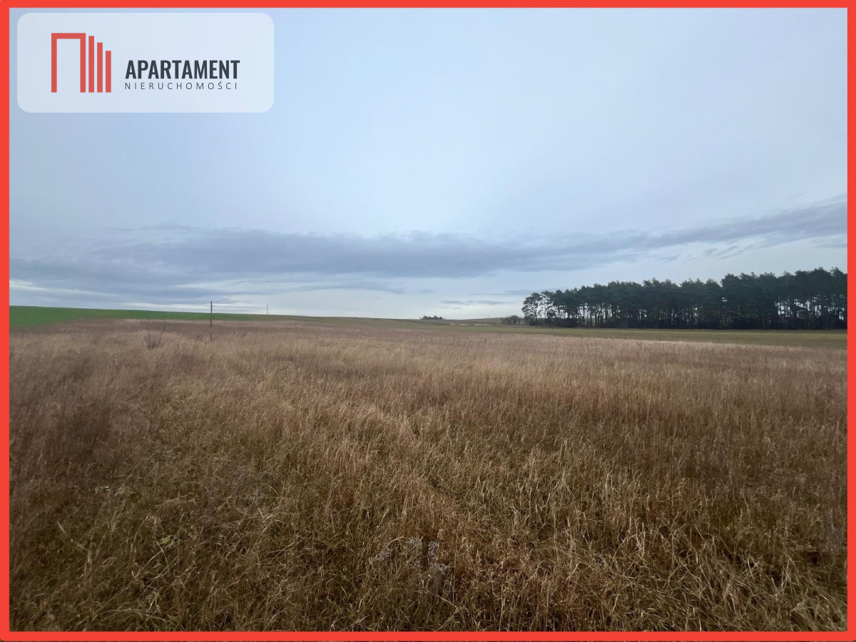 Działki z warunkami zabudowy 1075m2 - powiat nakielski  -
Kujawsko-Pomorskie Zdjęcie nr 1